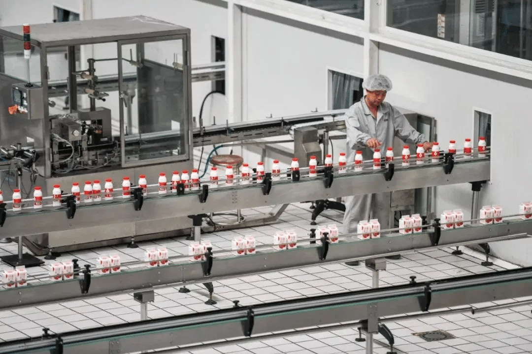 Beverage Packaging Automation